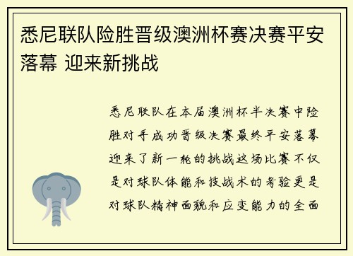 悉尼联队险胜晋级澳洲杯赛决赛平安落幕 迎来新挑战